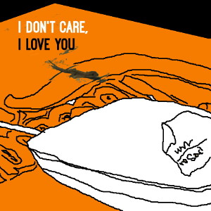 I Don't Care, I Love You album cover